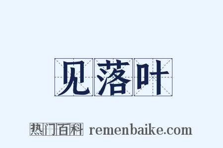 见落叶是什么意思的图片